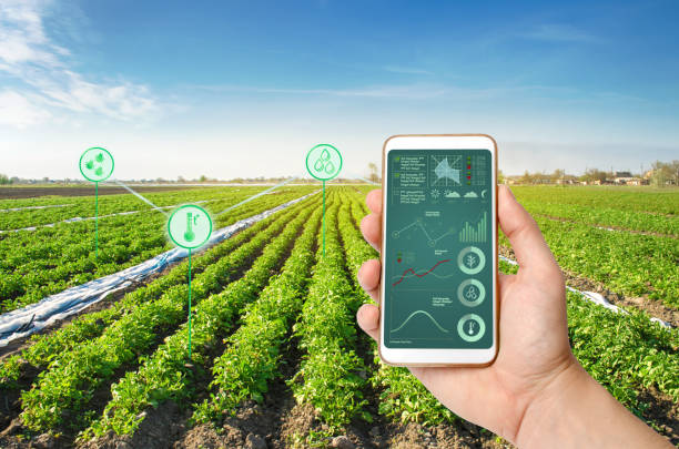 Digital farming 