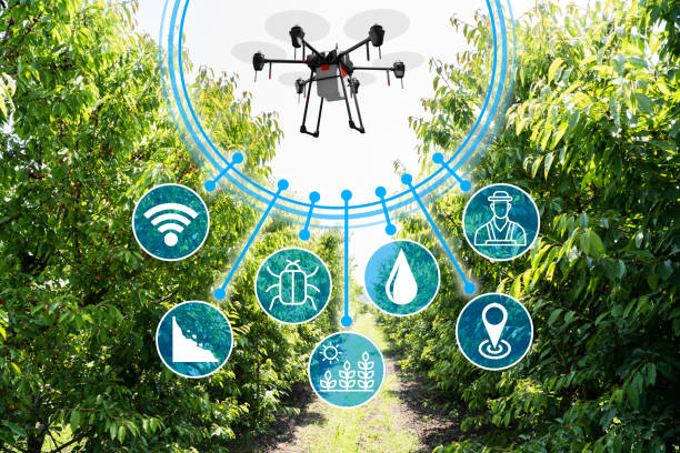 Digital farming