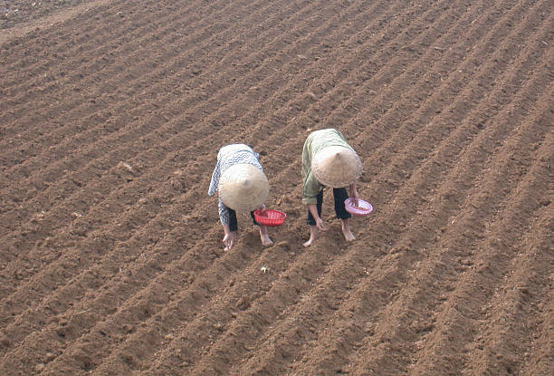 Subsistence Agriculture