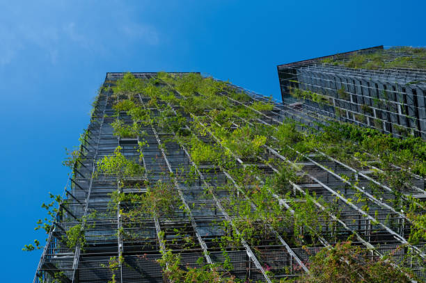 hydroponic vertical farming 